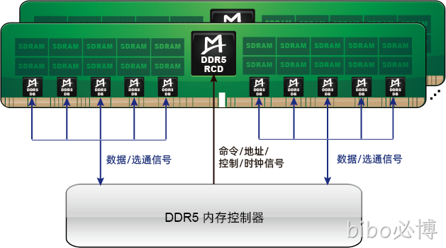 M88DR5DB01 (Gen1 DDR5 DB)